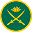 Picture25